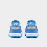 Nike Dunk Low GS Light Silver / Photo Blue - Sail