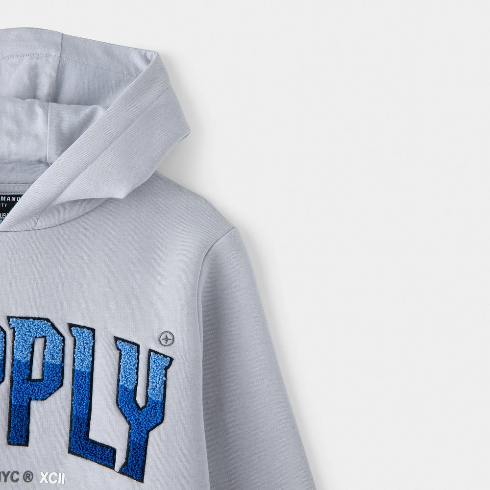 Supply & Demand Junior Boys' Zuni Pullover Hoodie / Grey
