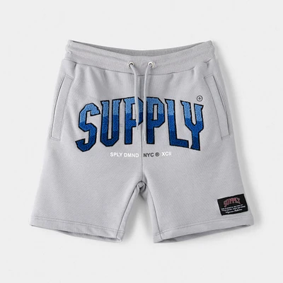 Supply & Demand Junior Boys' Zuni Shorts / Grey