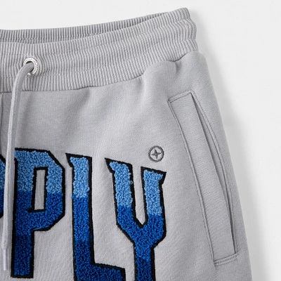 Supply & Demand Junior Boys' Zuni Shorts / Grey