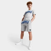 Supply & Demand Junior Boys' Zuni Shorts / Grey