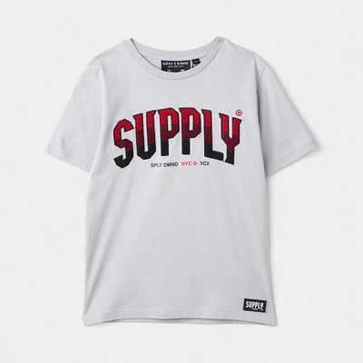 Supply & Demand Junior Boys' Zuni Graphic T-Shirt / Micro Chip