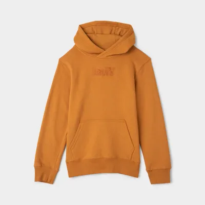 Levi's Junior Boys' Logo Pullover Hoodie / Cathay Spice