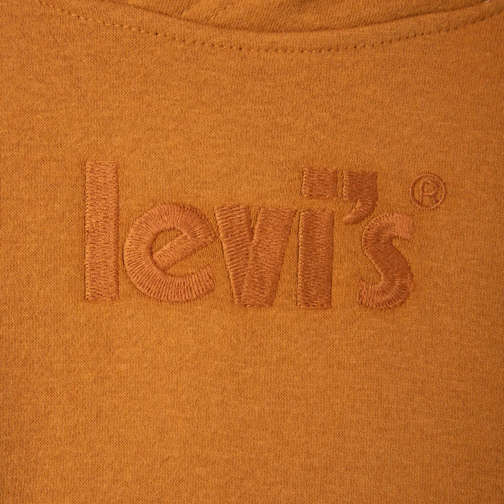 Levi's Junior Boys' Logo Pullover Hoodie / Cathay Spice