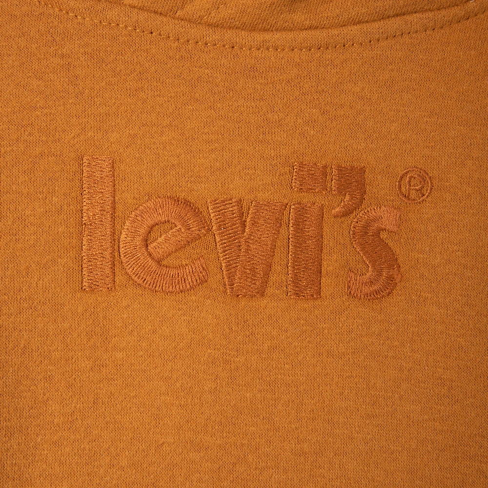 Levi's Junior Boys' Logo Pullover Hoodie / Cathay Spice