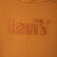 Levi's Junior Boys' Logo Pullover Hoodie / Cathay Spice