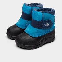 The North Face Infants' Alpenglow II Acoustic Blue / Shady