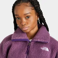 The North Face Women’s Platte Sherpa Quarter Zip Jacket Pikes Purple / Gravity