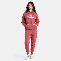 The North Face Women's Graphic Injection Pullover Hoodie Wild Ginger / Metallic Silver