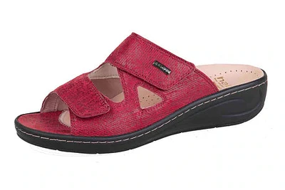 Hallux 434113