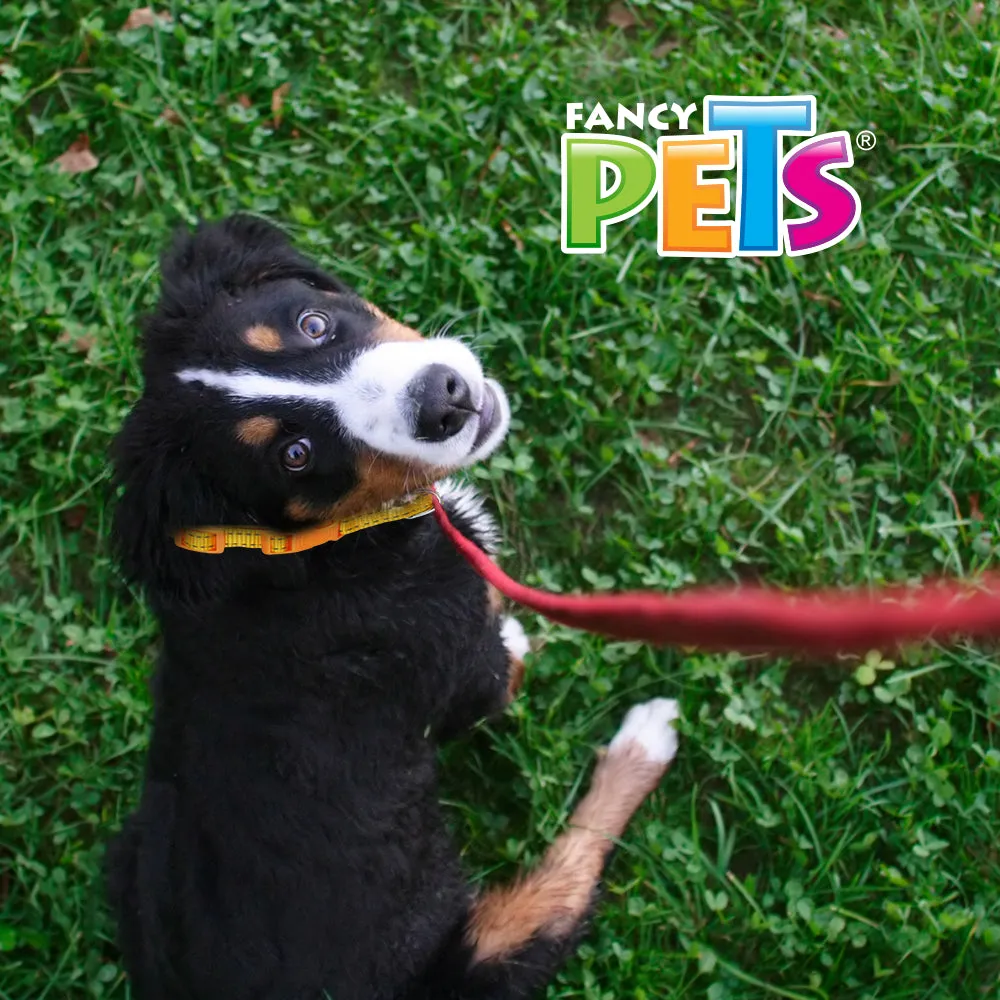 FANCY PETS - Collar Nylon Bandas Reflejantes Chico