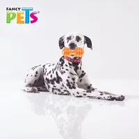 FANCY PETS - Juguete de Pesa Grande para Premio