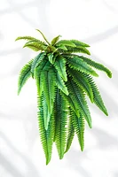 FERN BUSH 40"