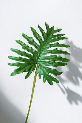 PHILODENRON LEAF 98CM GREEN