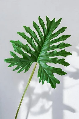 PHILODENRON LEAF 105CM GREEN