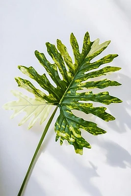 PHILODENRON LEAF 105CM GRN/WHT
