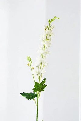 WISTERIA WHT/CREAM