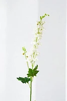 WISTERIA WHT/CREAM