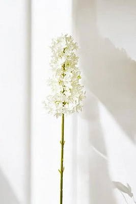 LILAC WHITE/CREAM
