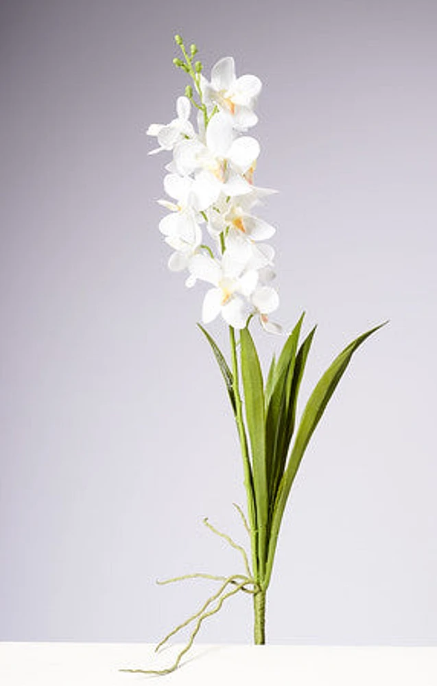 28.5" VANDA ORCHID PLANT - WHITE