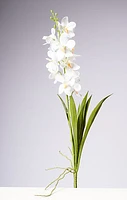 28.5" VANDA ORCHID PLANT - WHITE