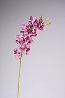 33" VANDA ORCHID PLANT - FUSCIA