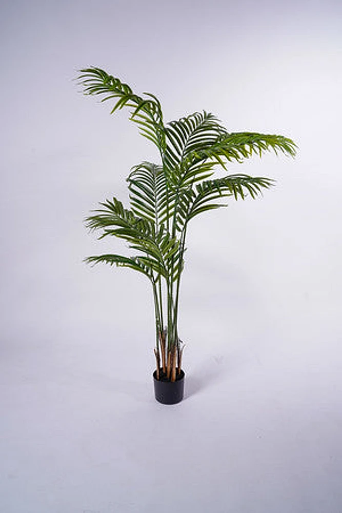 61" Palm