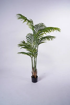 61" Palm