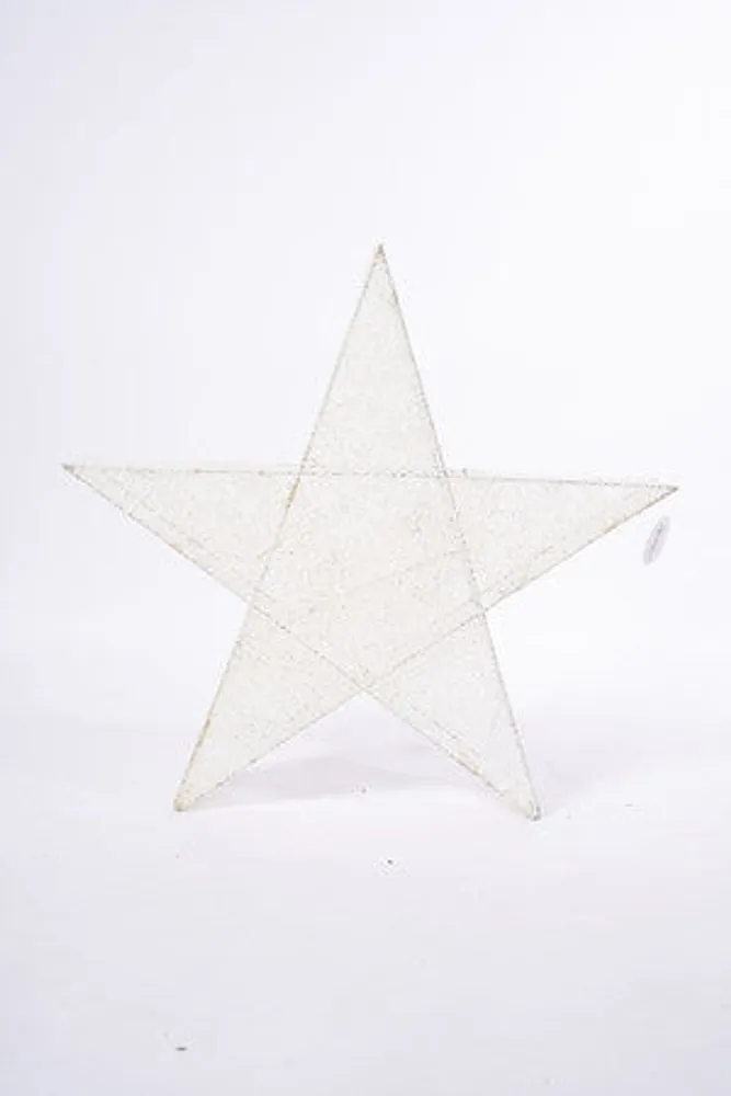 24" WHITE STAR W/PLUGS