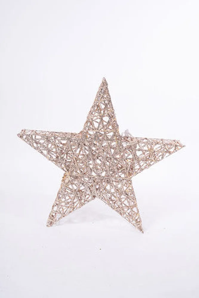 24" CHAMPAGNE GOLD STAR W/PLUGS