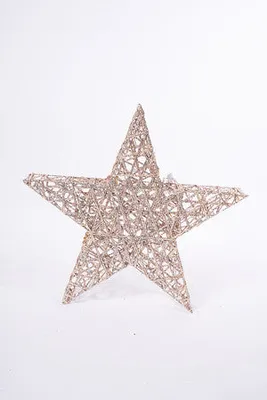 24" CHAMPAGNE GOLD STAR W/PLUGS