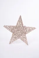 24" CHAMPAGNE GOLD STAR W/PLUGS