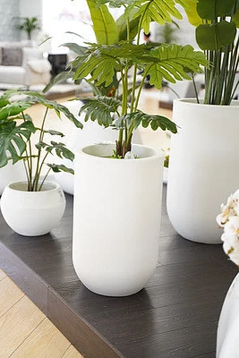 32" PLANTER DECO