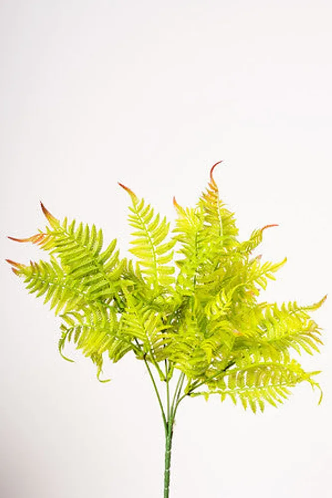 15" TROPICAL FERN BUSH