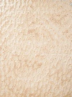 5" x 6"  Chic Rug Lt. Cream