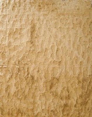 5" x 6"  Chic Rug Cream