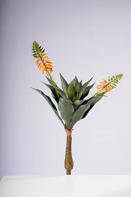 25" AGAVE PLANT W/ 2 FLOWERS GOLD/YELLOW