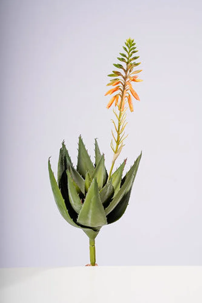 17" ALOE VERA FLOWER PLANT GOLD/YELLOW