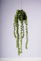 22" STRING OFF PEARLS HANGING BALL GREEN