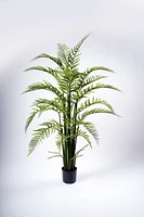 149CM FERN PLANT ON POT