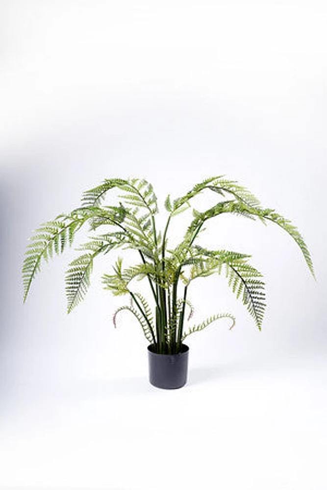 120CM FERN PLANT ON POT