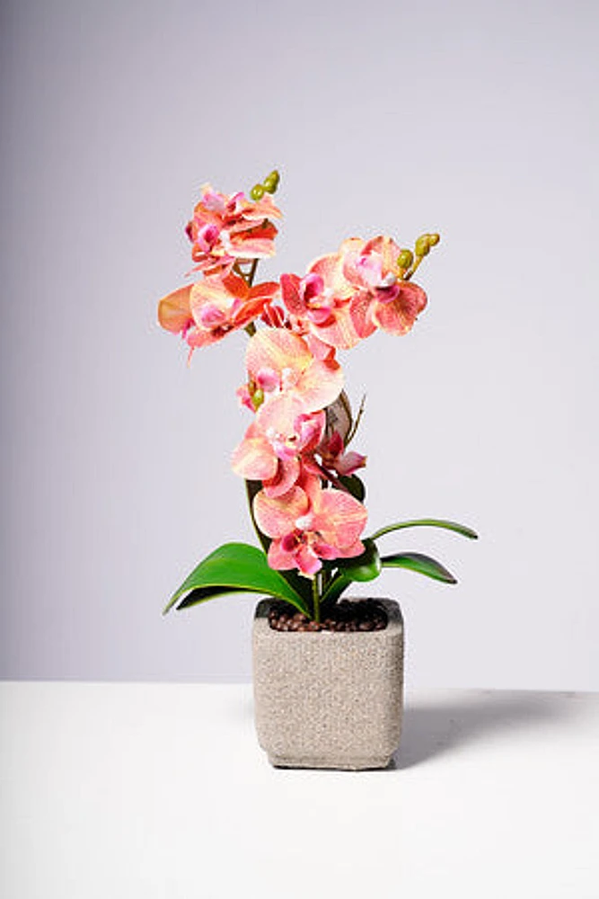 16" PHALAENOPSIS ORCHID ORANGE