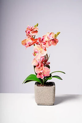 16" PHALAENOPSIS ORCHID ORANGE