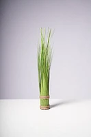 17" GRASS