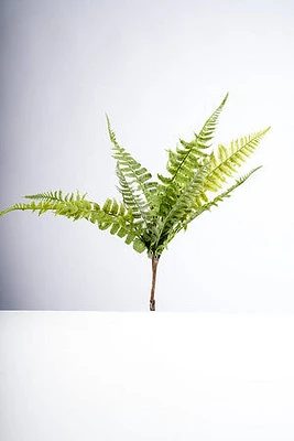 43CM FERN BUSH