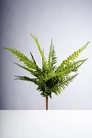 50CM FERN BUSH