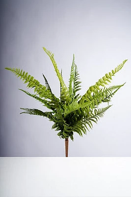 50CM FERN BUSH