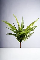 50CM FERN BUSH