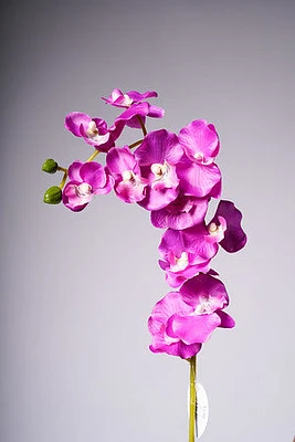 34" ORCHID X11 FLOWERS FUSHIA