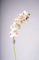 34" ORCHID X11 FLOWERS